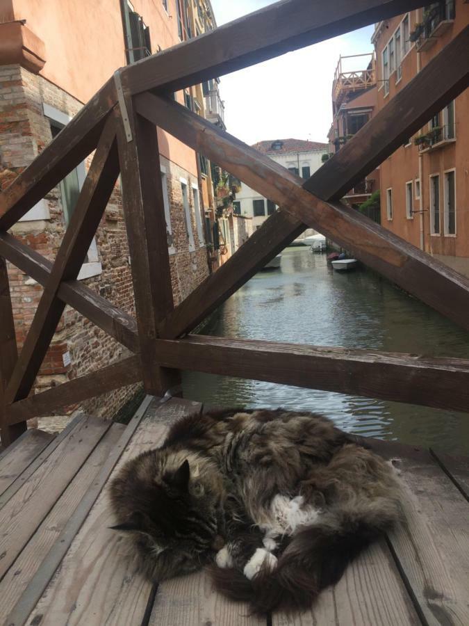 Tintoretto 1 Con Terrazza Sopra Il Tetto, 3 Bagni, 3 Grandi Camere Da Letto, Super Nuovo Venedig Exteriör bild